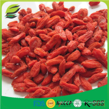 The red sweet Ningxia goji berry in high quality